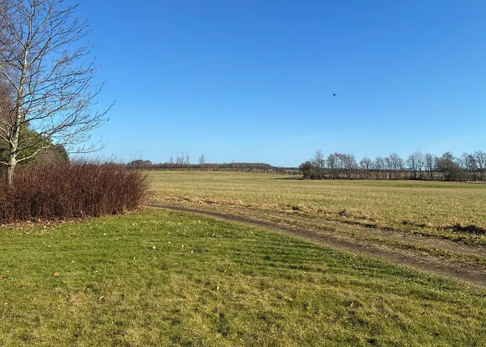 Lovely In With Wifi * Gram